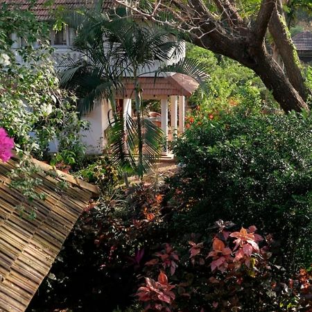 Gaia'S Garden Guest House オーロヴィル エクステリア 写真