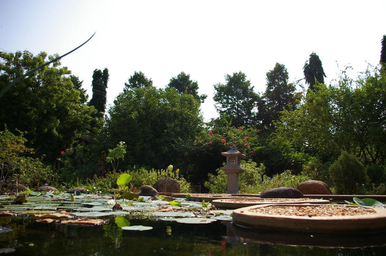 Gaia'S Garden Guest House オーロヴィル エクステリア 写真