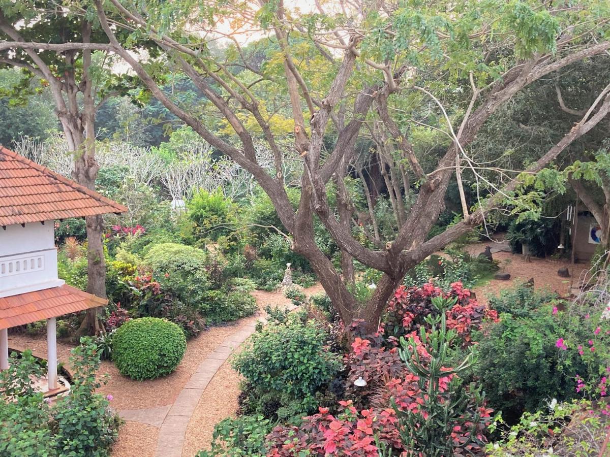 Gaia'S Garden Guest House オーロヴィル エクステリア 写真