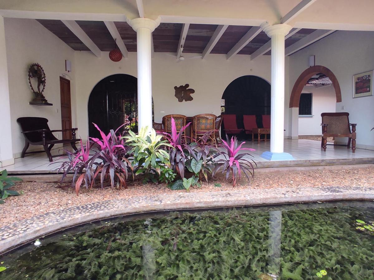 Gaia'S Garden Guest House オーロヴィル エクステリア 写真