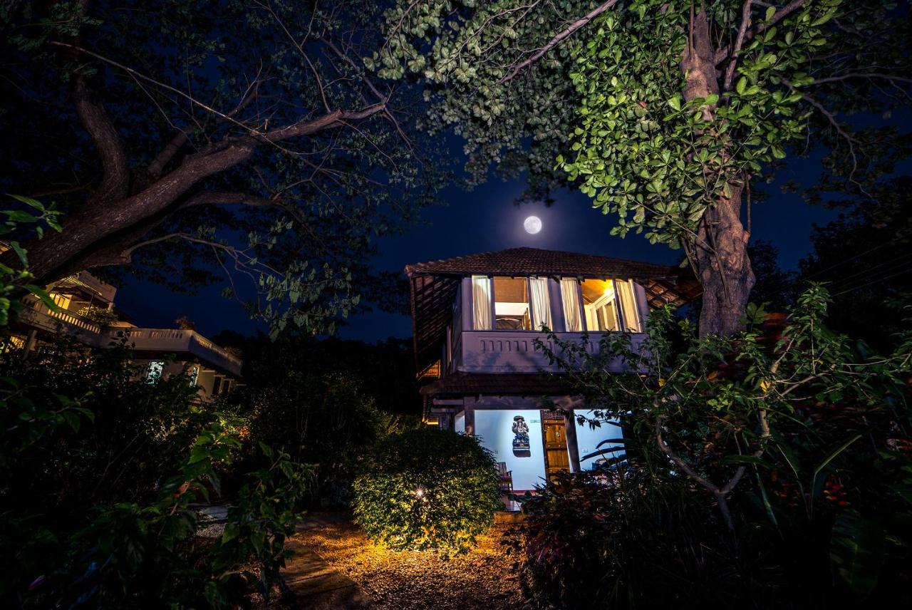 Gaia'S Garden Guest House オーロヴィル エクステリア 写真
