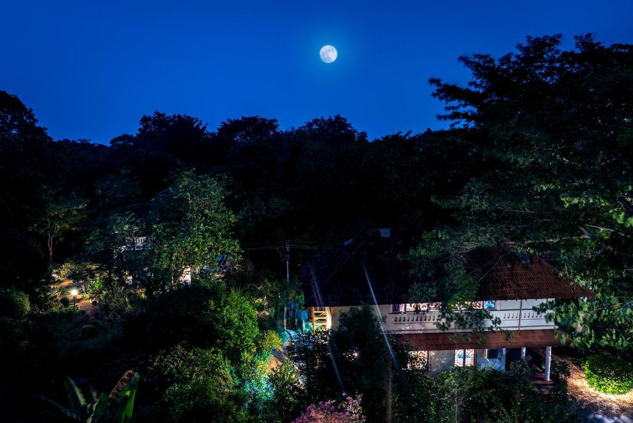 Gaia'S Garden Guest House オーロヴィル エクステリア 写真