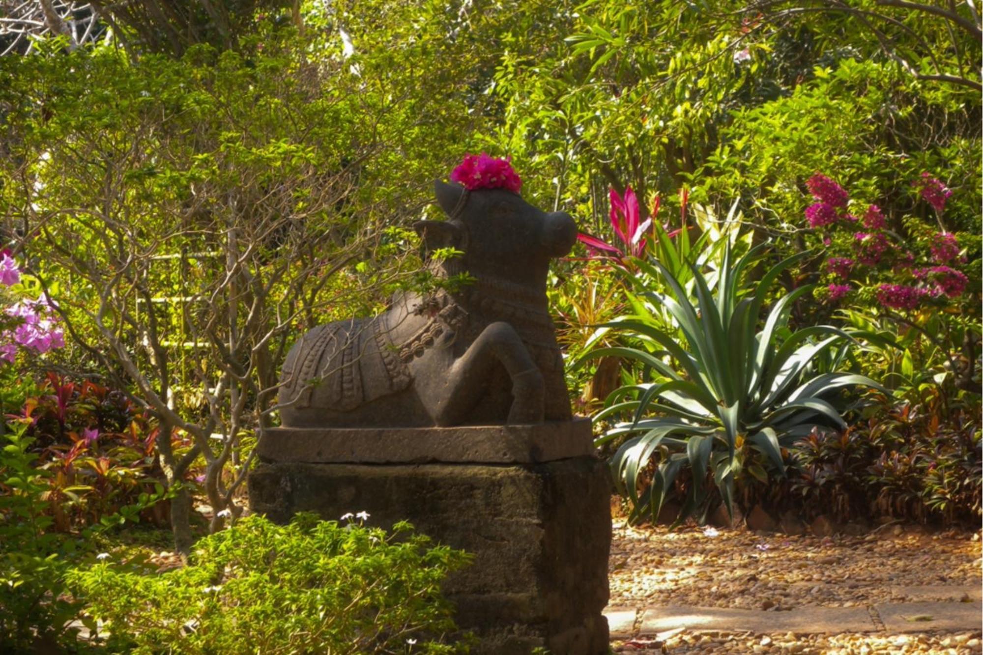 Gaia'S Garden Guest House オーロヴィル エクステリア 写真