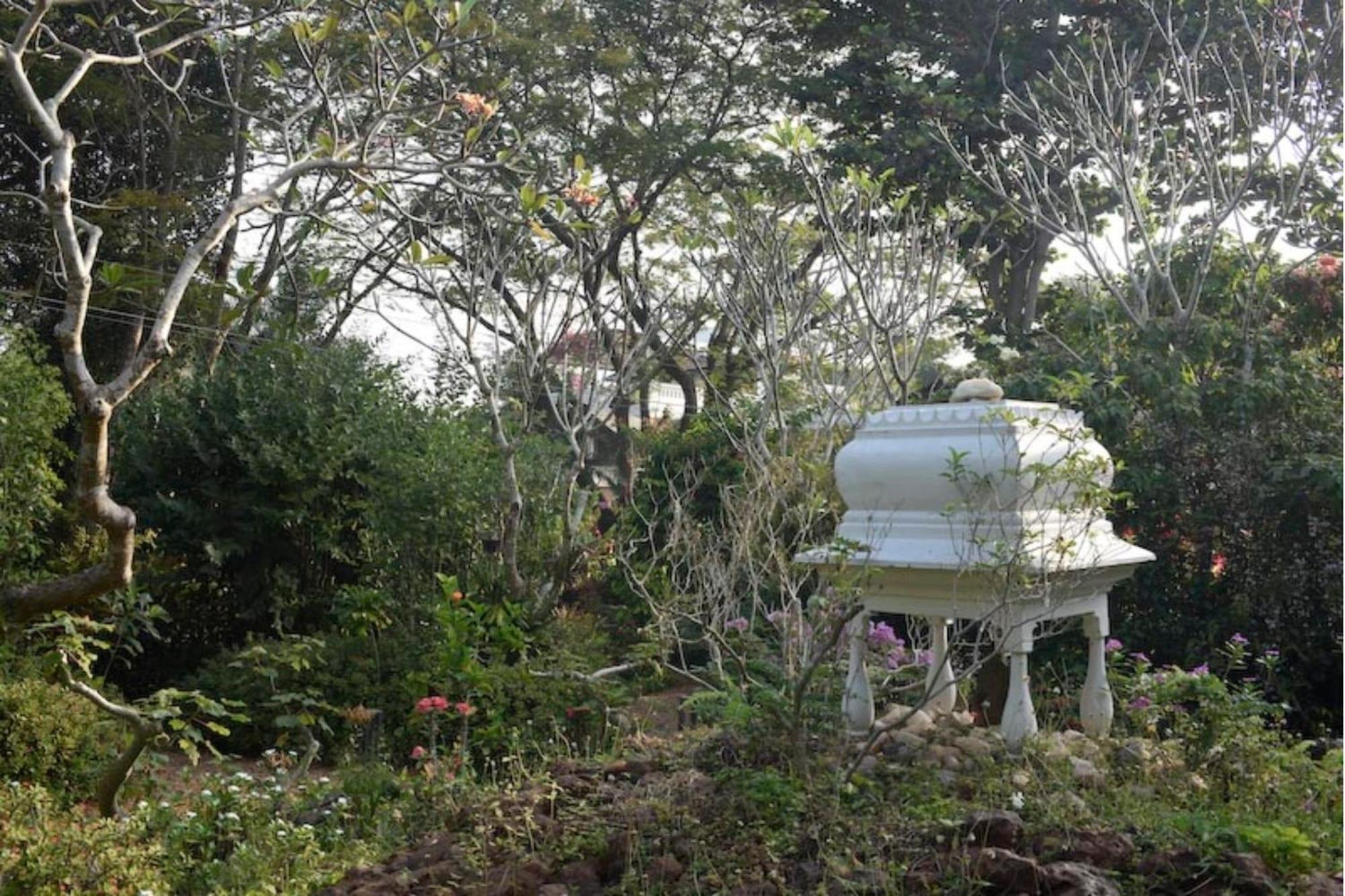 Gaia'S Garden Guest House オーロヴィル エクステリア 写真