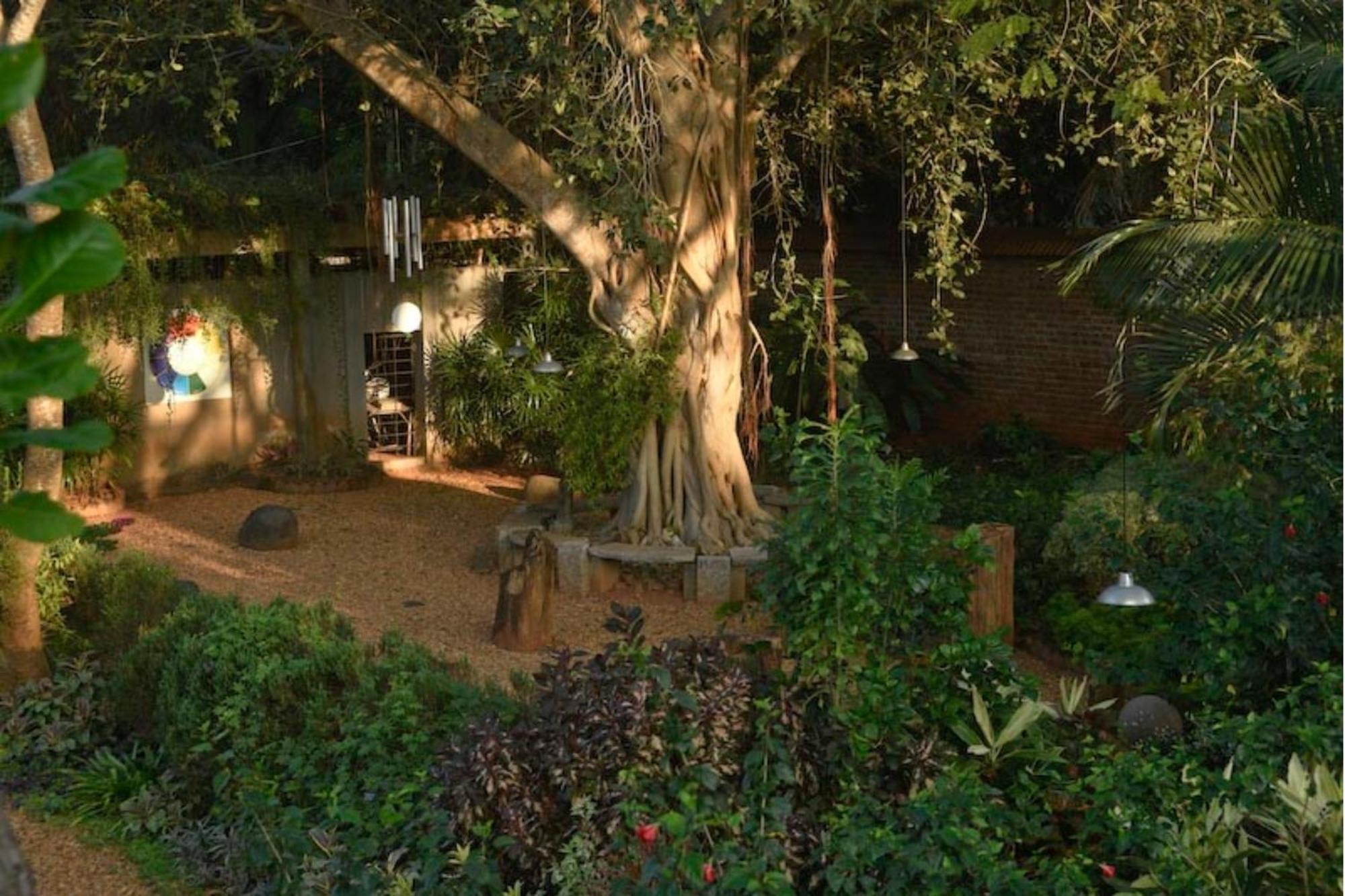 Gaia'S Garden Guest House オーロヴィル エクステリア 写真
