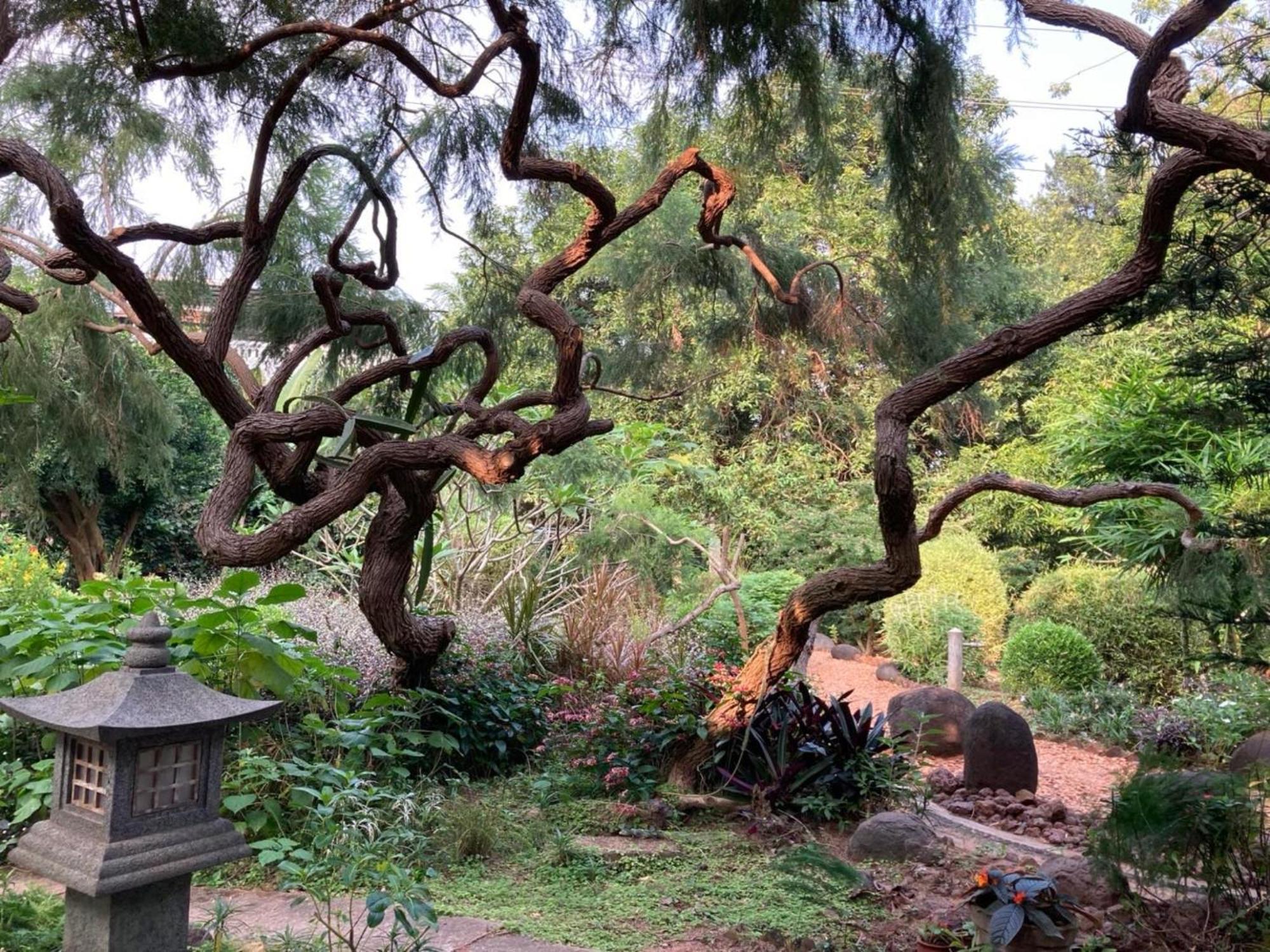 Gaia'S Garden Guest House オーロヴィル エクステリア 写真